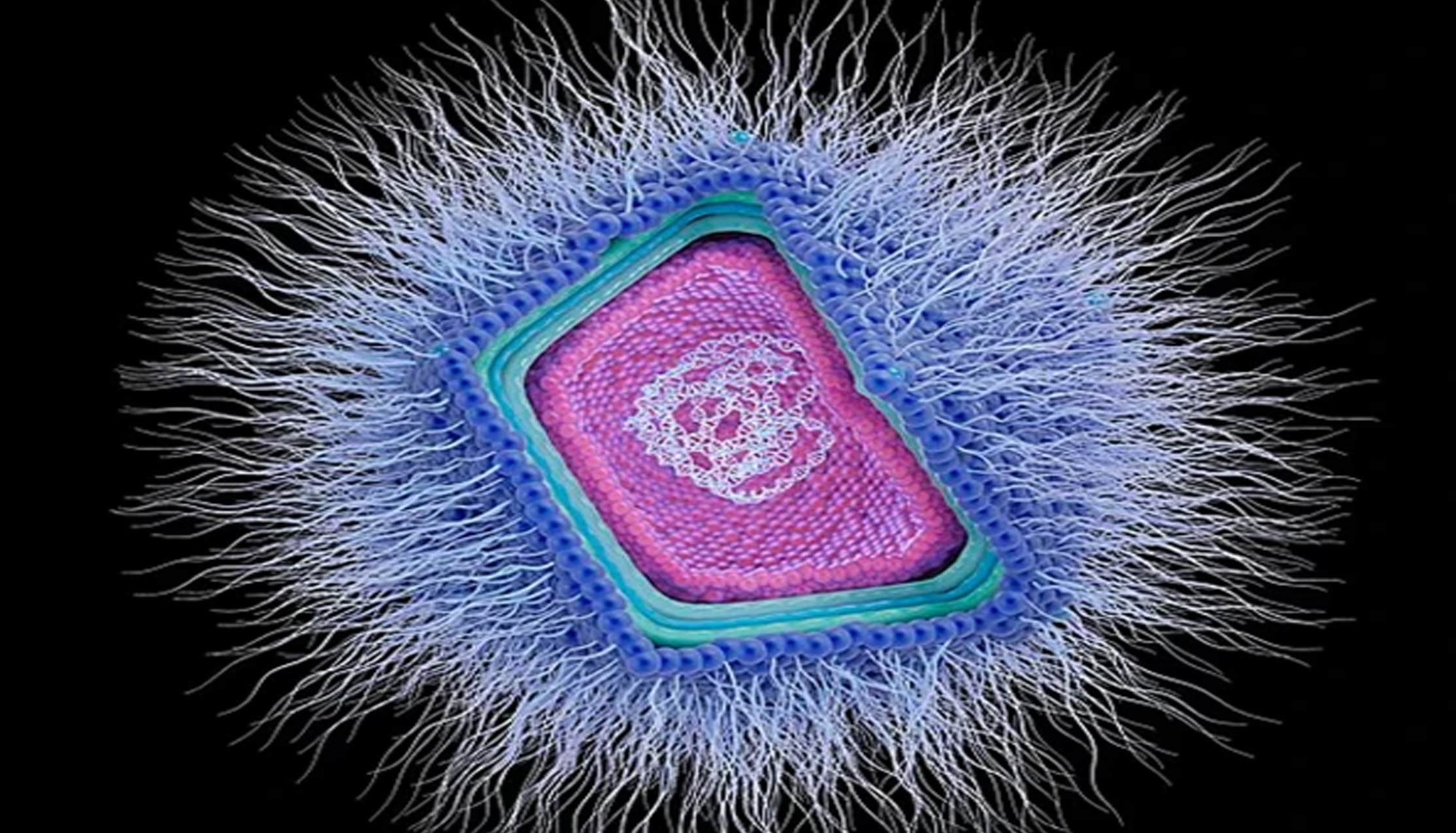 Scientists Warn of 'Giant Viruses' Filling the World's Oceans - Daily ...